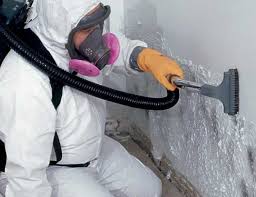 Mold Remediation for Vacation Homes in Sunny Isles Beach, FL